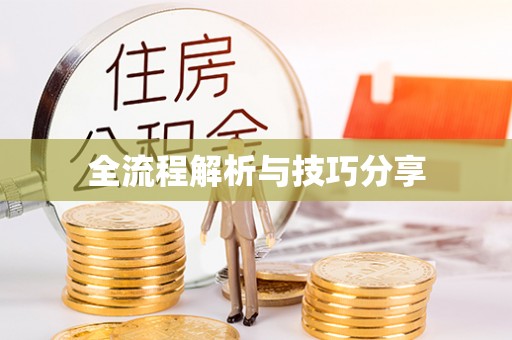 狮子山全流程解析与技巧分享