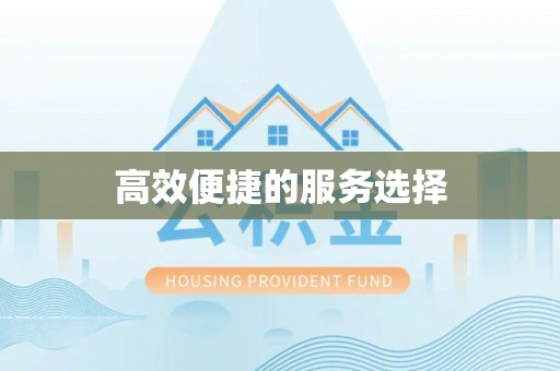 狮子山高效便捷的服务选择