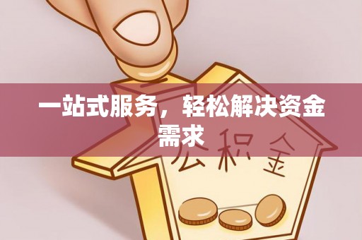 狮子山一站式服务，轻松解决资金需求